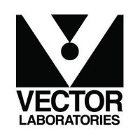 vector laboratories
